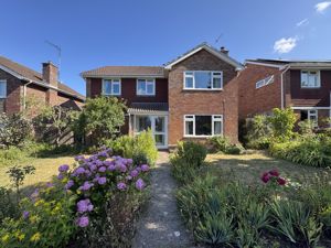 front- click for photo gallery